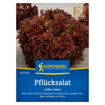 Saatgut, Pflücksalat 'Lollo Rossa'