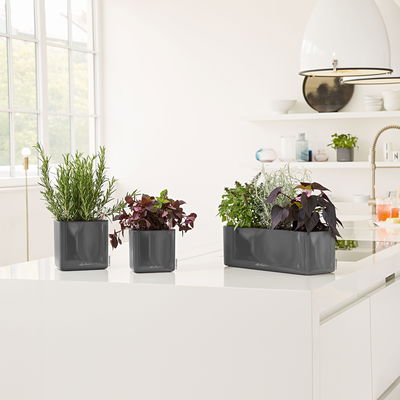 Lechuza 'Cube Glossy 16', anthrazit, ca. 17 x 17 x H 16 cm