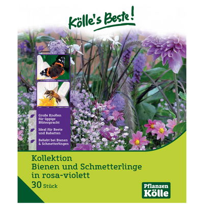 Blumenknollen Bienen & Schmetterlinge Mischung, rosa-violett, 30 Blumenzwiebeln