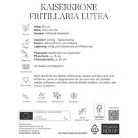 Kaiserkrone (Fritillaria Imperialis Lutea) gelb, 1 Blumenzwiebel