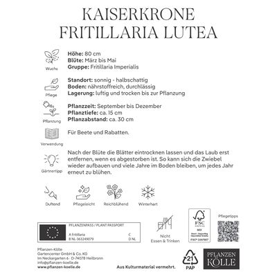 Kaiserkrone (Fritillaria Imperialis Lutea) gelb, 1 Blumenzwiebel Kaiserkrone (Fritillaria Imperialis Lutea) gelb, 1 Blumenzwiebel