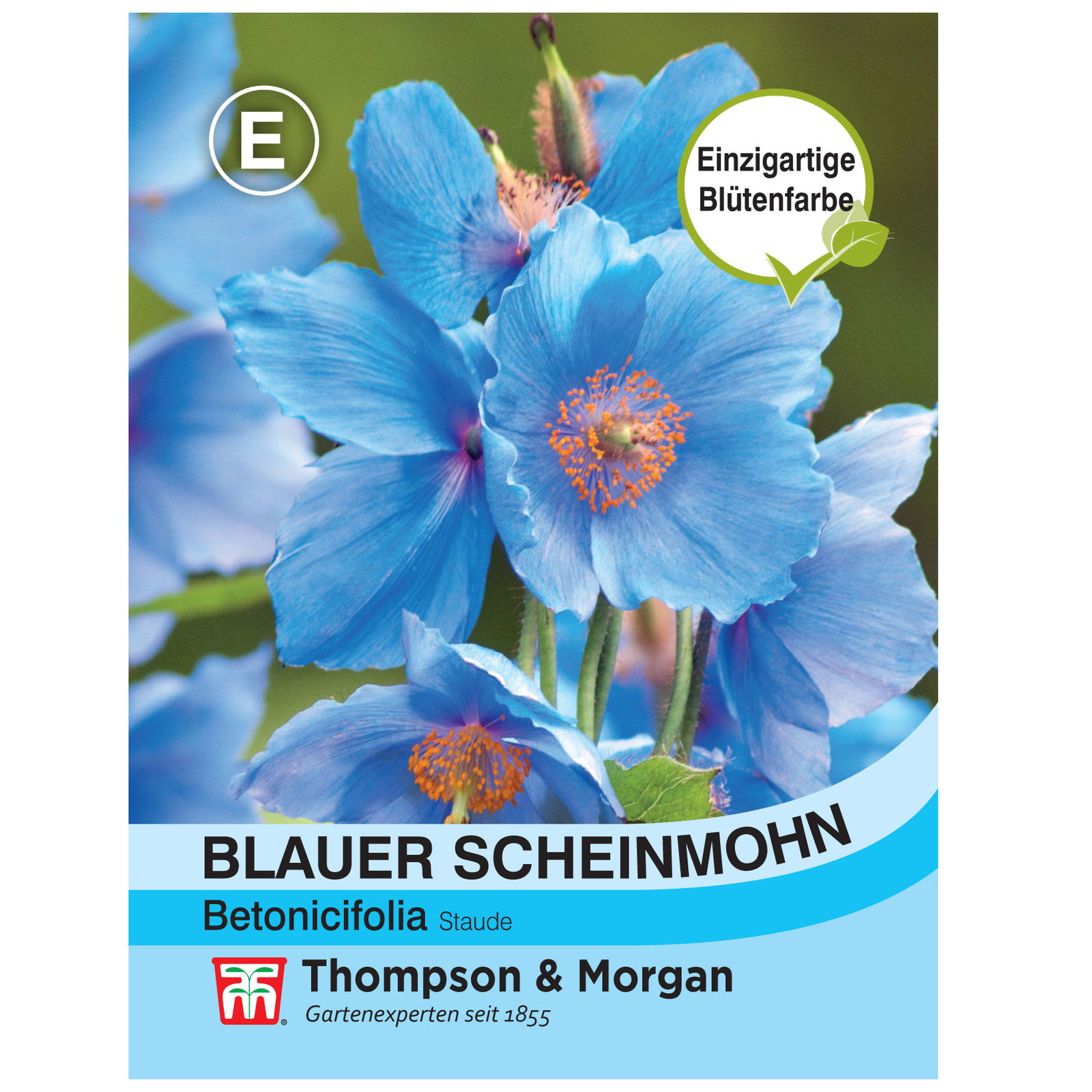 Thompson & Morgan Saatgut Blauer Scheinmohn, blau