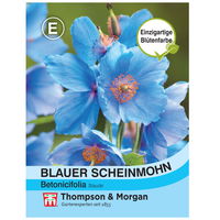 Thompson & Morgan Saatgut Blauer Scheinmohn, blau