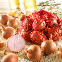 Rote Schalotten 