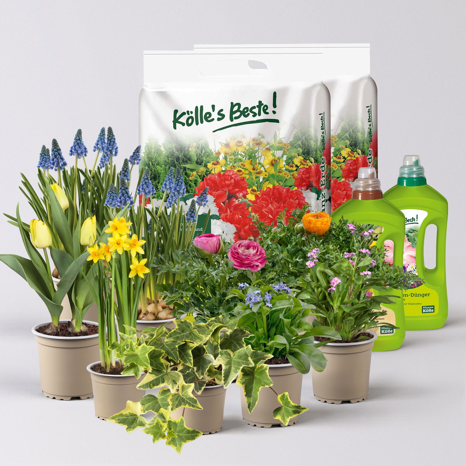 Pflanzenkreation Bunter Frühling, 9 Pflanzen inkl. Erde & Dünger