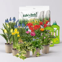 Pflanzenkreation Bunter Frühling, 9 Pflanzen inkl. Erde & Dünger