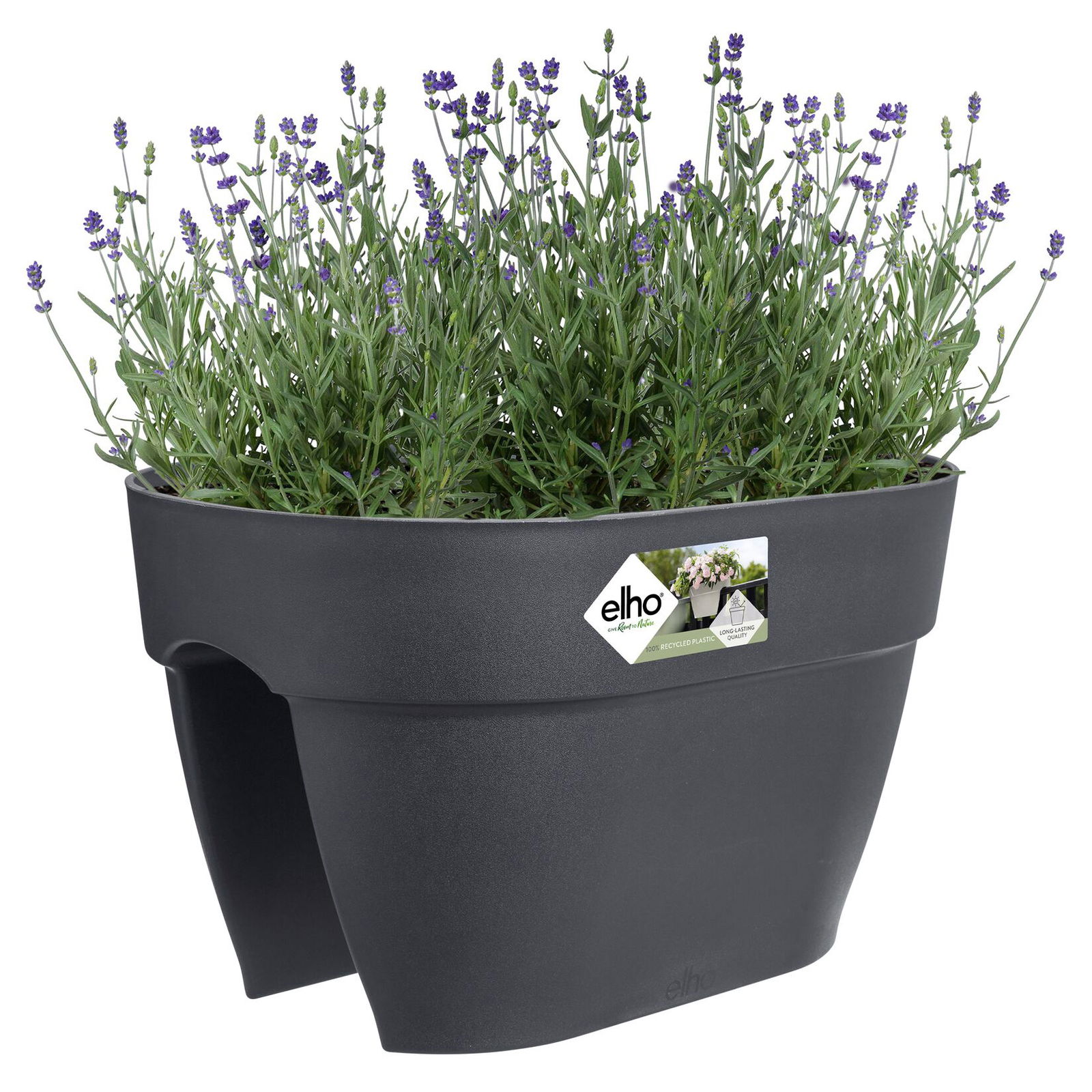 Elho Pflanzgefäß 'Vibia Campana Flower Bridge', anthrazit Elho Pflanzgefäß 'Vibia Campana Flower Bridge', anthrazit