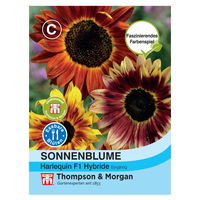 Thompson & Morgan Blumensamen Sonnenblume Harlequin F1 Hybride