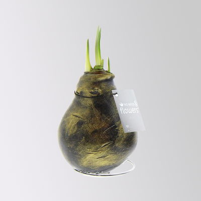 Amaryllis in Wachs, Dekor 'Antiquez Mix', Farbe zufällig, Blüte rot