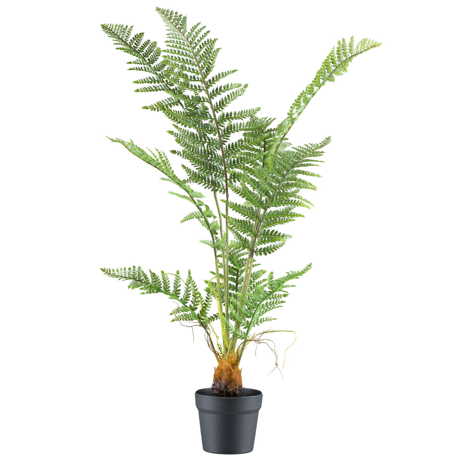 Kunstpflanze Farn Pteris tremula im Topf, Höhe ca. 100 cm