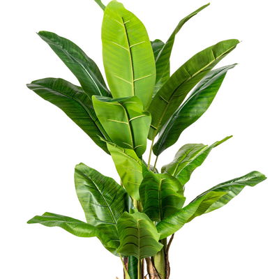 Künstliche Bananenpflanze, Höhe ca. 150 cm Künstliche Bananenpflanze, Höhe ca. 150 cm