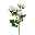 Kunstpflanze Polyantarose, weiß, ca. 39 cm, 4 Stück