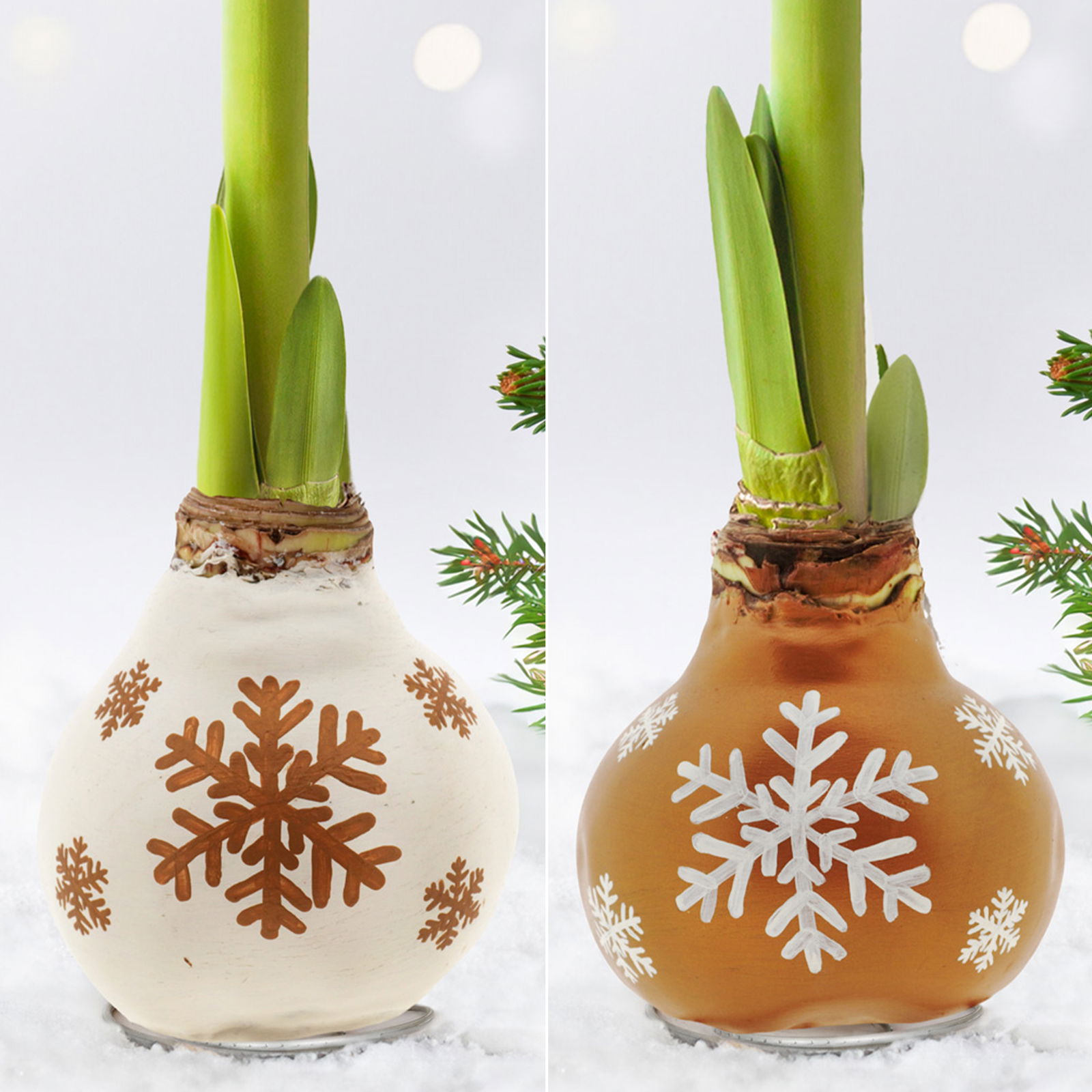 Amaryllis in Wachs, Dekor 'Snow Flakes', handbemalt, Blüte rot