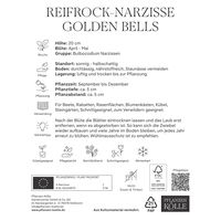 Narzisse 'Golden Bells', goldgelb, Größe 10/12, 10 Blumenzwiebeln
