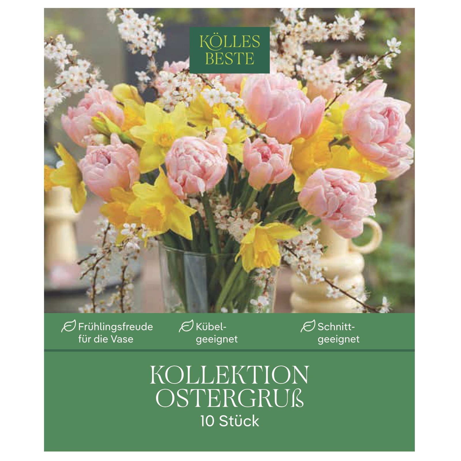 Kölles Beste Kollektion 'Ostergruß' aus Narzissen & Tulpen, 10 Blumenzwiebeln Kölles Beste Kollektion 'Ostergruß' aus Narzissen & Tulpen, 10 Blumenzwiebeln
