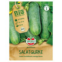 Sperli Bio Saatgut Salatgurke 'Marketmore'