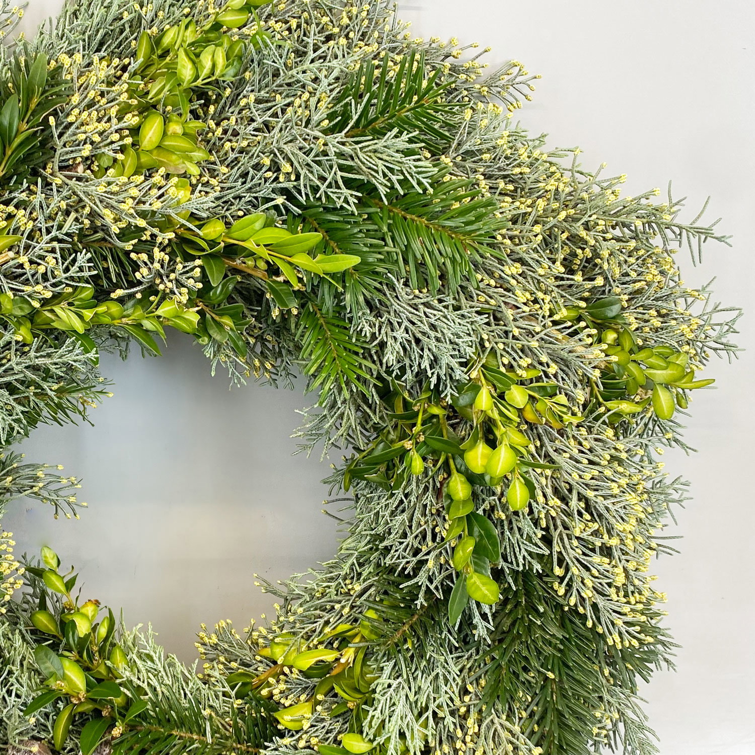 Adventskranz, Arizonica-Bux, halbrund gebunden, ca. 30 cm Ø Adventskranz, Arizonica-Bux, halbrund gebunden, ca. 30 cm Ø