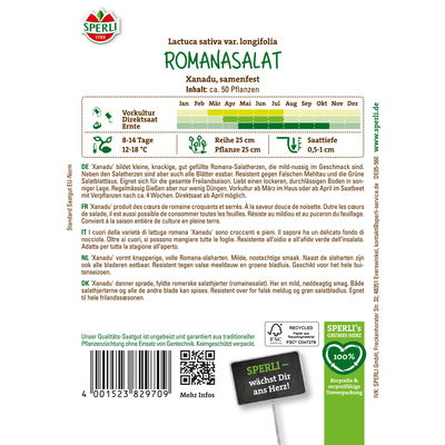 Sperli Saatgut Romanasalat 'Xanadu', grün Sperli Saatgut Romanasalat 'Xanadu', grün