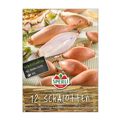 Französische Schalotten 'Longor', gelb, 10 Zwiebeln