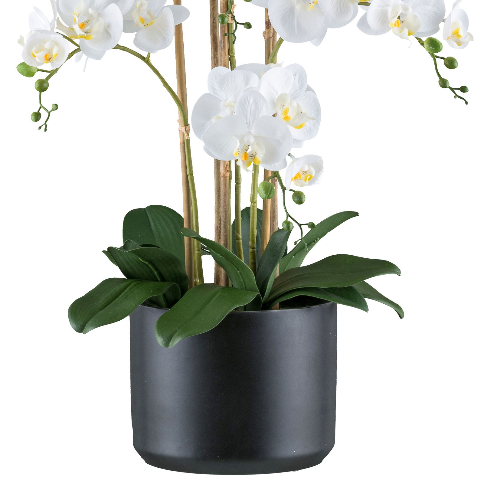 Kunstpflanze Phalaenopsis, weiß/schwarz, Höhe ca. 77 cm