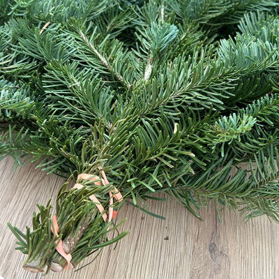 Bio Nobilistanne im Handbund, Länge ca. 50 cm, 5 Bund