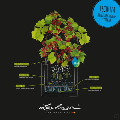 Lechuza 'Pila Color Planter', korallrot, ca. 35 x 35 x H 32,5 cm