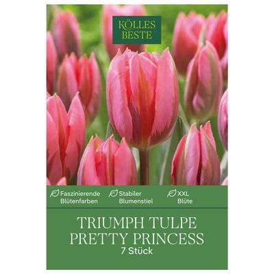 Triumph Tulpen 'Pretty Princess', rosa, Größe 11/12, 7 Blumenzwiebeln