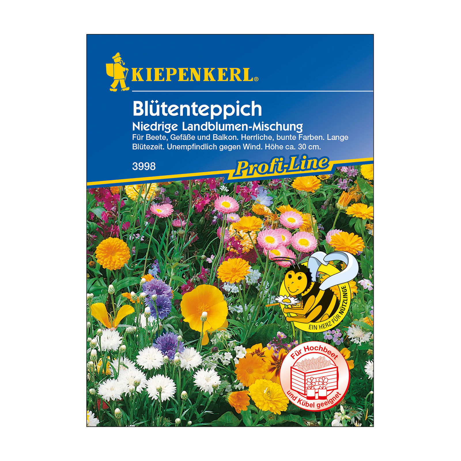 Blumensamen, Blütenmischung 'Landblumenmischung', bunt