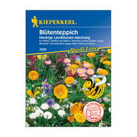 Blumensamen, Blütenmischung 'Landblumenmischung', bunt