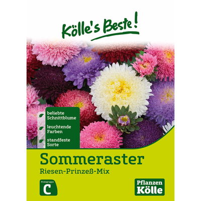 Kölles Beste Blumensamen Sommeraster (Callistephus) Riesen-Prinzess-Mix Kölles Beste Blumensamen Sommeraster (Callistephus) Riesen-Prinzess-Mix