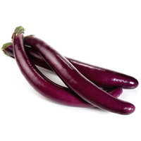 Bio Aubergine 'Violet Knight', Topf-Ø 12 cm, 3 Pflanzen