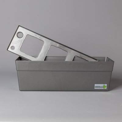 Snack-Paprika 'Midinor Red', 'Snackor Yellow', 'Snackor Orange' inkl. Greenbar® Snack-Paprika 'Midinor Red', 'Snackor Yellow', 'Snackor Orange' inkl. Greenbar®