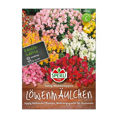 Blumensamen, Löwenmaul 'Zwerg-Wunderteppich' Blumensamen, Löwenmaul 'Zwerg-Wunderteppich'