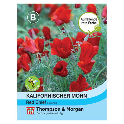 Kalifornischer Mohn Red Chief Kalifornischer Mohn Red Chief