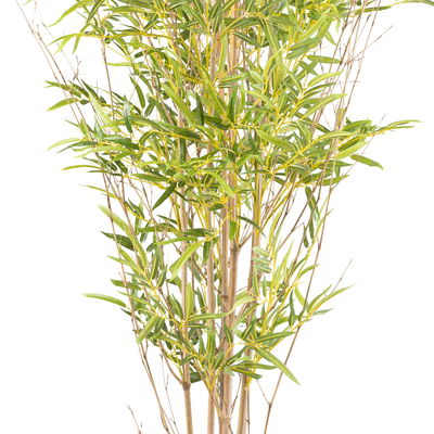 Kunstpflanze Miniblatt-Bambus, Höhe ca. 185 cm Kunstpflanze Miniblatt-Bambus, Höhe ca. 185 cm