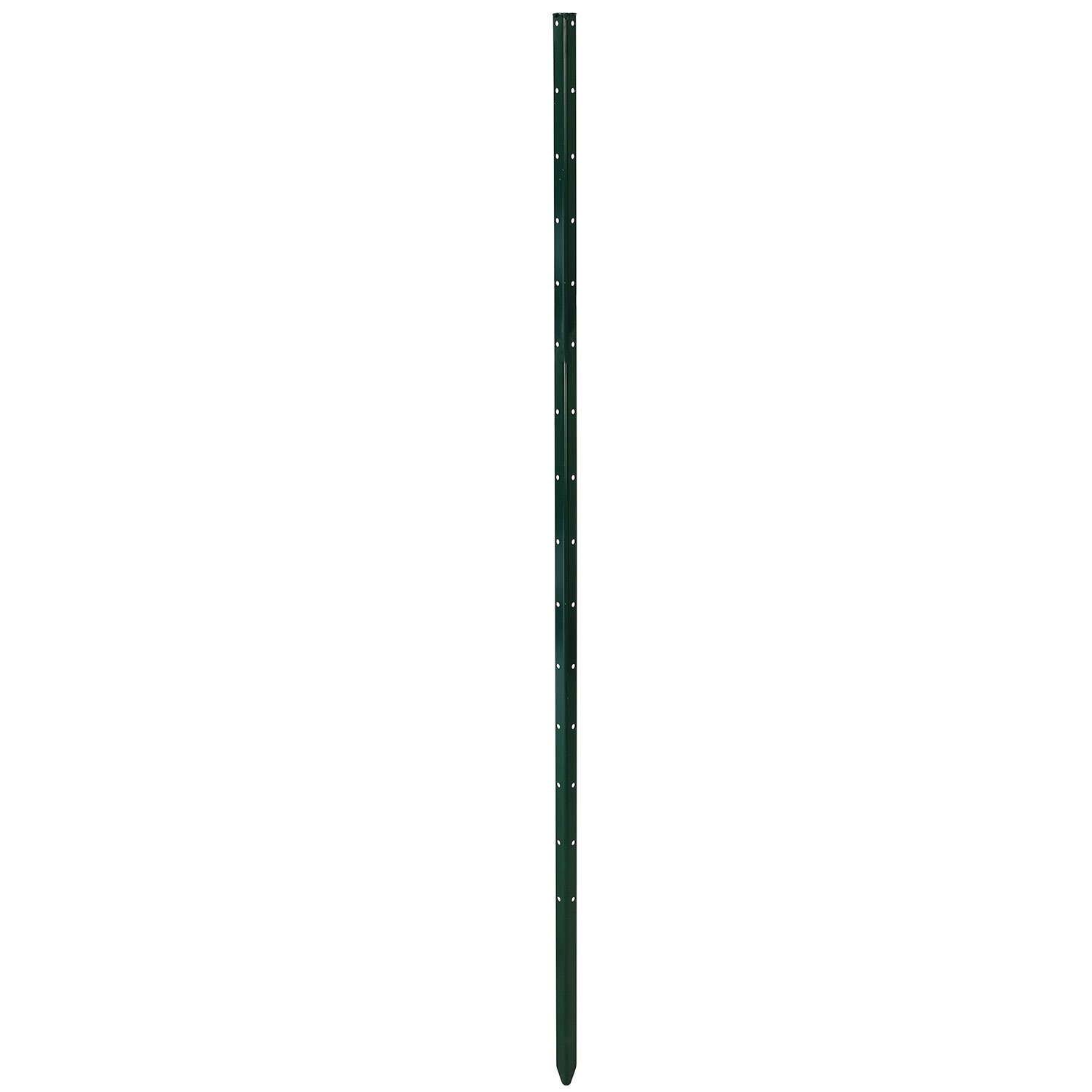 Pflanzstab 'Timo', grün, H150 x B3 cm
