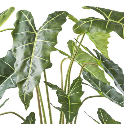 Künstliche Alocasia zebrina 'Sarian', Höhe ca. 160 cm Künstliche Alocasia zebrina 'Sarian', Höhe ca. 160 cm