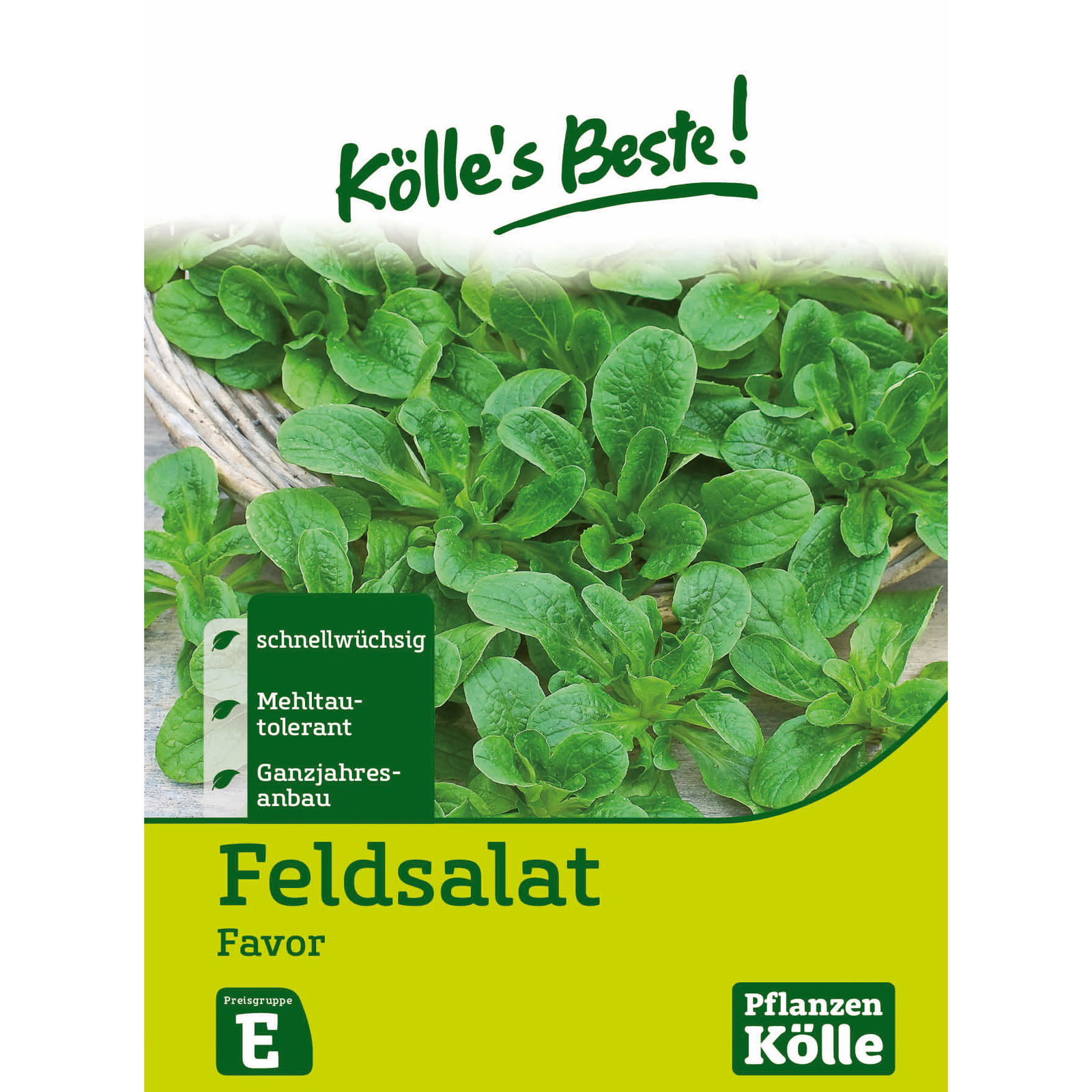 Kölle's Beste Gemüsesamen Feldsalat Favor