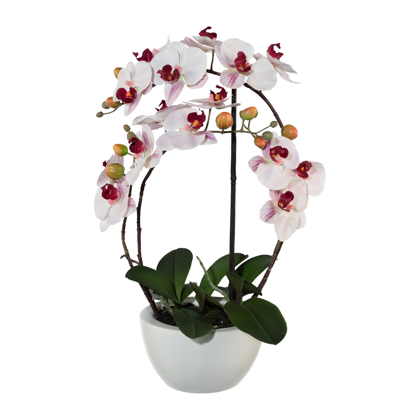 Kunstpflanze Phalaenopsis 'Real Touch', rosa, Topf-Ø 18 cm, Höhe ca. 52 cm