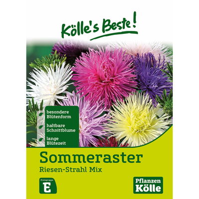 Blumensamen, Sommeraster 'Callisteph, Riesen-Strahlen Mix' Blumensamen, Sommeraster 'Callisteph, Riesen-Strahlen Mix'