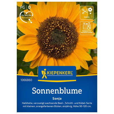 Blumensamen, Sonnenblume 'Sonja'