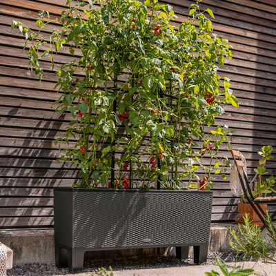 Lechuza 'Trio Cottage 40', granit, ca. 130 x 42 x H 44 cm