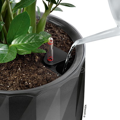 Lechuza 'Diamante Premium 40', anthrazit, ca. Ø 40 x H 75 cm