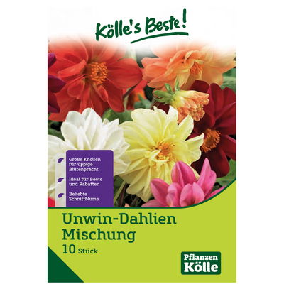 Unwin-Dahlienmischung, rot/weiß, 10 Blumenknollen Unwin-Dahlienmischung, rot/weiß, 10 Blumenknollen