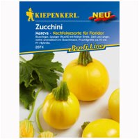 Zucchini 'Mareva', gelb, ca. 6 Samen