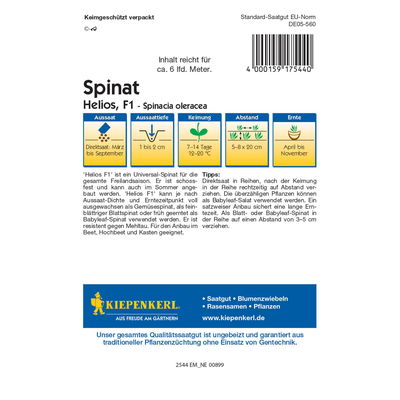 Saatgut Spinat 'Helios'
