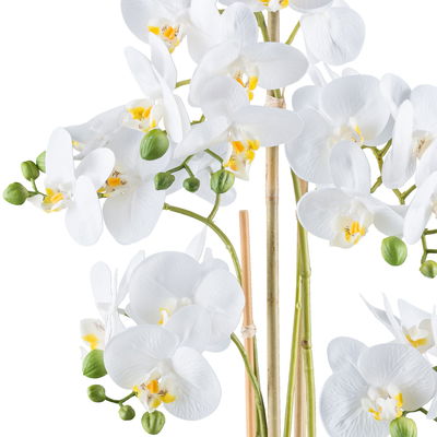 Kunstpflanze Phalaenopsis, weiß/silber, Höhe ca. 62 cm Kunstpflanze Phalaenopsis, weiß/silber, Höhe ca. 62 cm