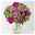 Blumenstrauß 'Lila Herbst' inkl. gratis Grußkarte