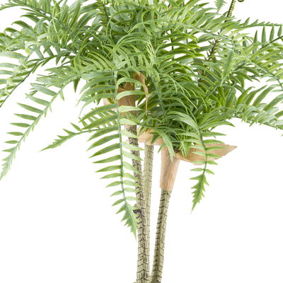 Kunstpflanze Goldrückenfarn, Höhe ca. 66 cm