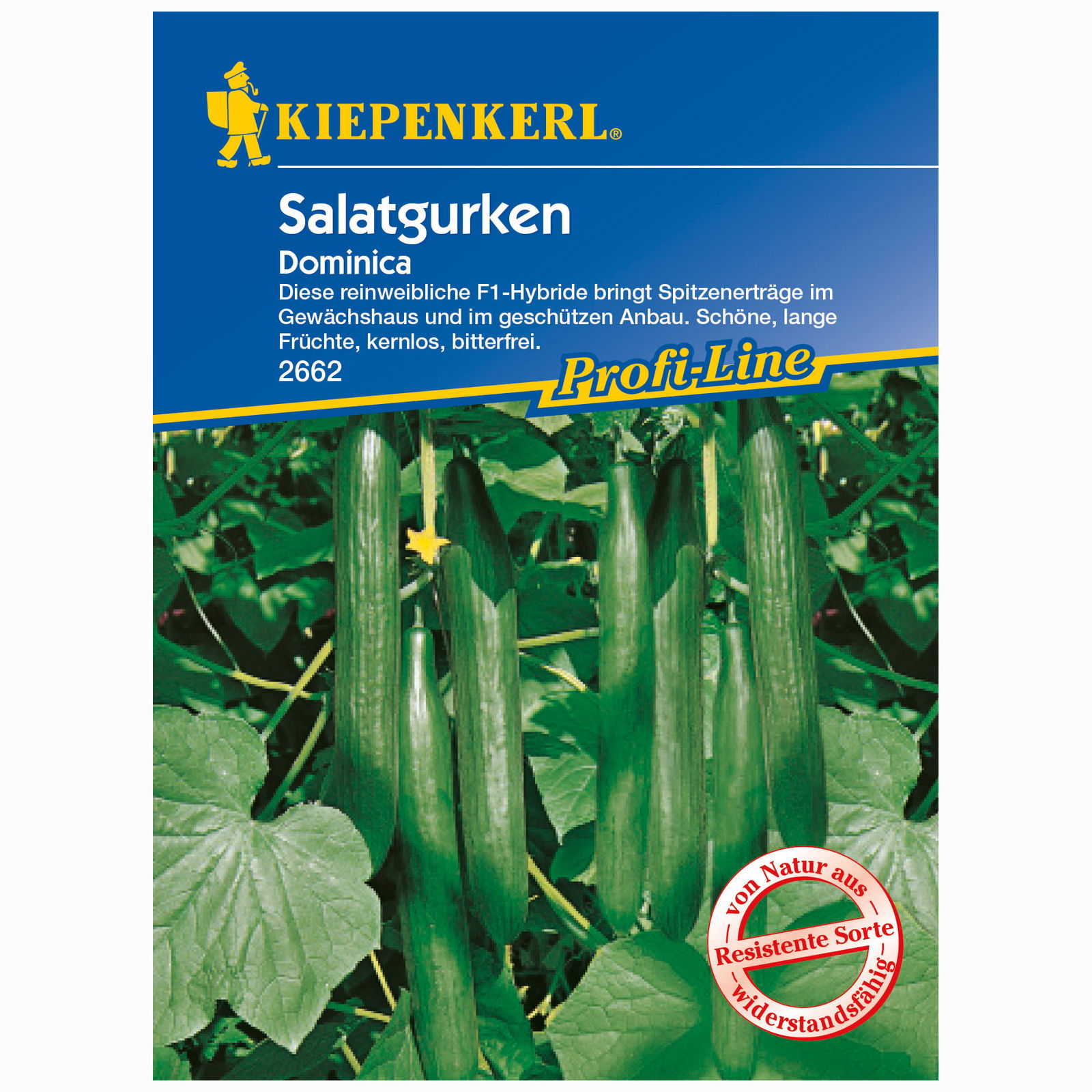 Salatgurke 'Dominica', grün, 6 Gemüsesamen